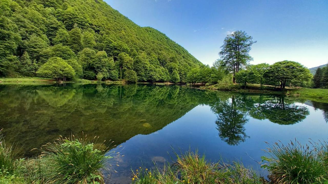 Le Jardin De Moulis, Saint Girons, Ariege, Pyrenees, Bed & Breakfast ภายนอก รูปภาพ