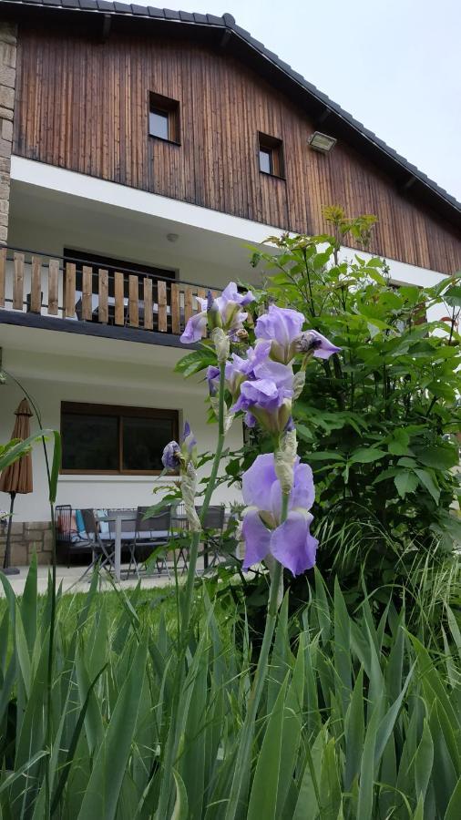 Le Jardin De Moulis, Saint Girons, Ariege, Pyrenees, Bed & Breakfast ภายนอก รูปภาพ