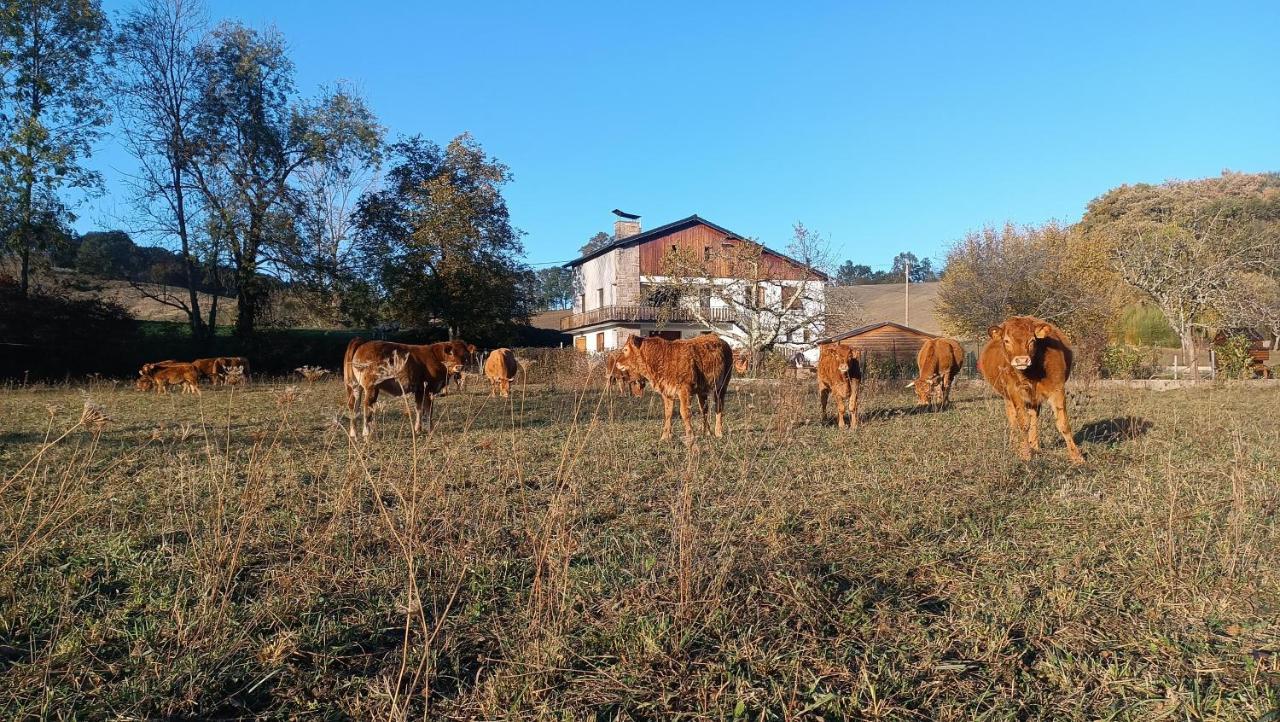 Le Jardin De Moulis, Saint Girons, Ariege, Pyrenees, Bed & Breakfast ภายนอก รูปภาพ