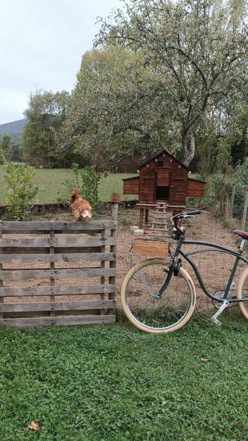 Le Jardin De Moulis, Saint Girons, Ariege, Pyrenees, Bed & Breakfast ภายนอก รูปภาพ